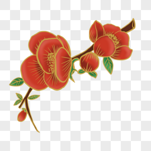 红色光效金线植物海棠花图片