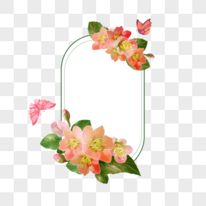 水彩海棠花卉蝴蝶边框图片