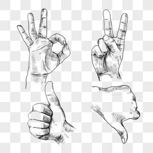 速写手指手势语言图片