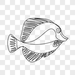 艺术线条画海洋动物鱼图片