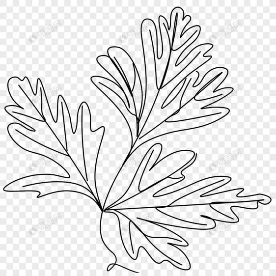 艺术线条画植物叶子图片