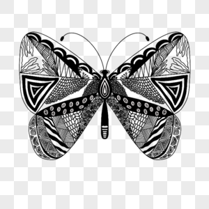 黑白蝴蝶几何涂鸦图案图片