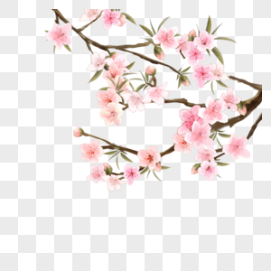桃花林粉色水彩花卉图片