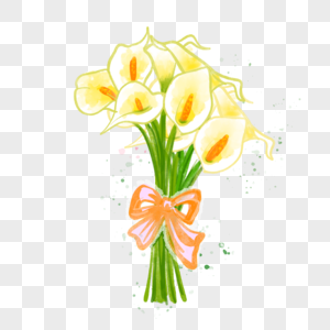 马蹄莲黄色花朵水彩花卉植物图片
