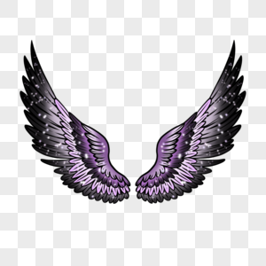 暗夜流光紫色翅膀图片