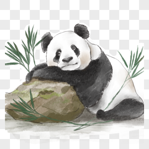 水彩熊猫竹子图片