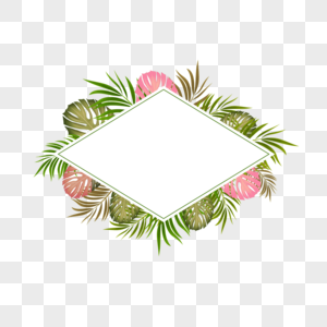 夏季热带棕榈叶菱形边框图片