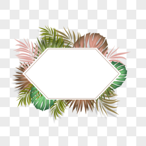 夏季热带棕榈叶多边形边框图片
