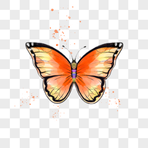 水彩质感的蝴蝶昆虫图片