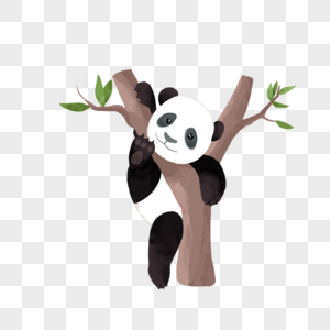 树杈卡通可爱熊猫图片