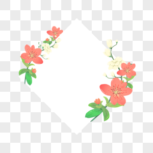 粉色小花白色边框花环花卉图片