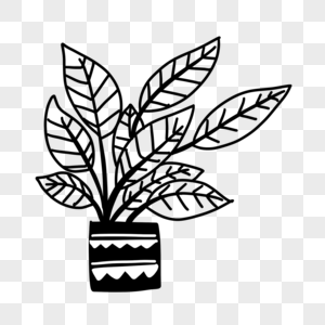 创意黑白单色涂鸦盆栽植物图片