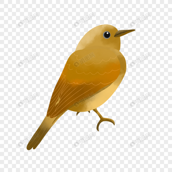 黄色水彩鸟类动物图片