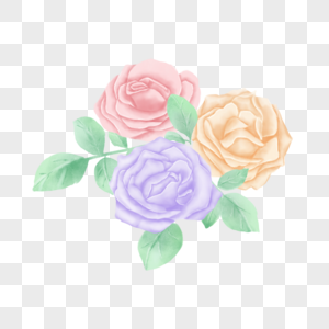 淡雅花卉粉色玫瑰水彩图片