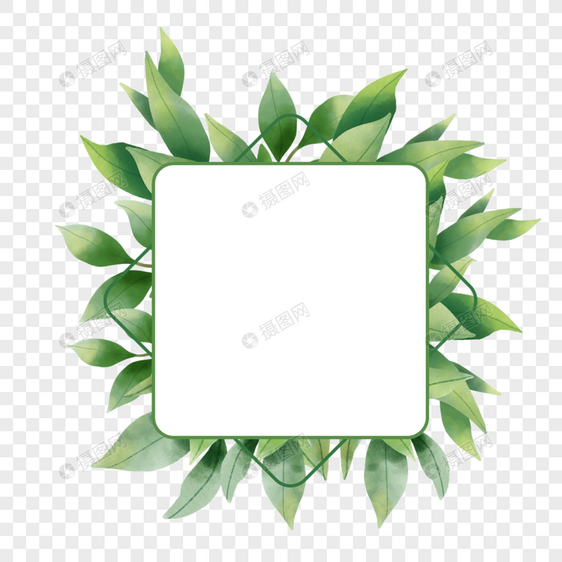 水彩尤加利叶婚礼方形创意边框图片