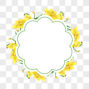 水彩水仙花卉边框圆形植物图片