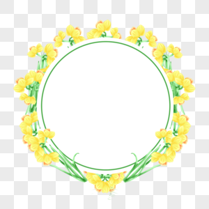 水彩水仙花卉边框圆形图片