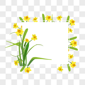 水彩水仙花卉正方形边框图片