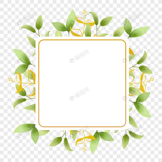 婚礼金枝树叶边框正方形植物图片