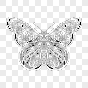 黑白几何对称蝴蝶填色本图片