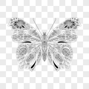 几何线条画蝴蝶填色本黑白图片