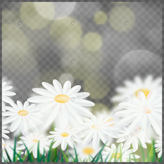 黄色可爱花朵春天光效花卉边框图片