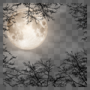 树枝环绕着的月亮图片