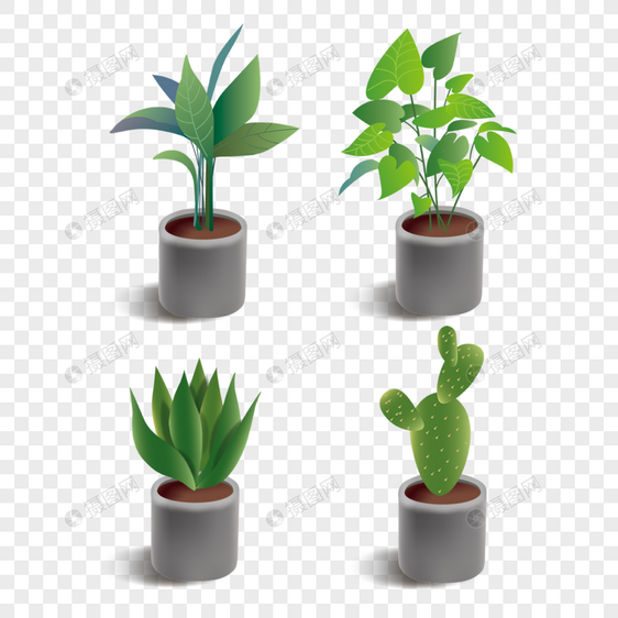 绿色植物室内盆栽组合图片
