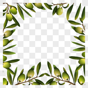 橄榄创意绿色枝叶边框图片