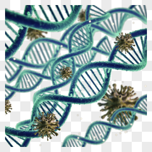 dna和新型冠状图片