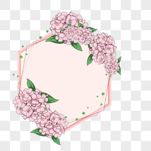 明亮粉色绣球花边框图片