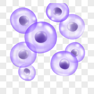 球形细胞圆形膜细胞紫色透明微观生物学高清图片