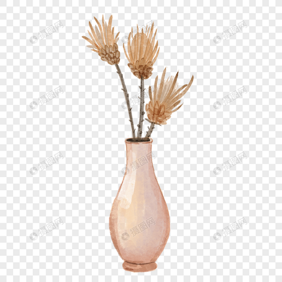 干花束波西米亚风格水彩普罗蒂亚花图片
