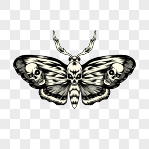 飞蛾蝴蝶纹身绘画风格带有头骨图案高清图片