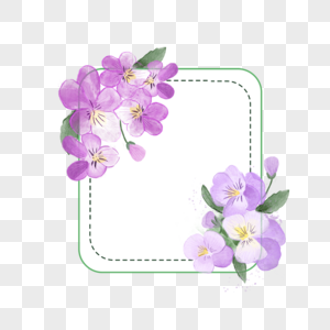 三色堇花卉水彩紫色边框图片