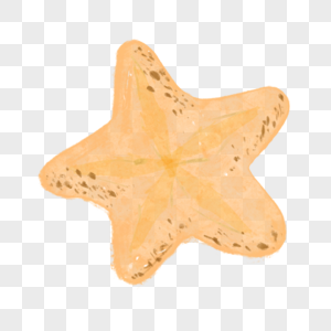 海星星星海洋生物图片绘画图片