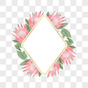 普罗蒂亚花卉水彩粉色自然边框图片