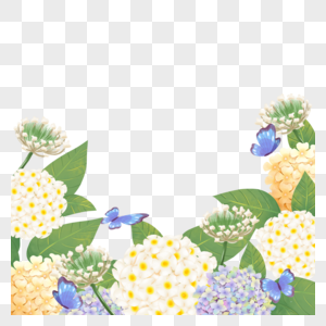 绣球花卉水彩蝴蝶黄色边框图片
