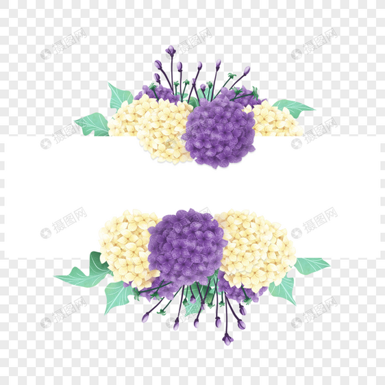 绣球花卉水彩装饰边框图片