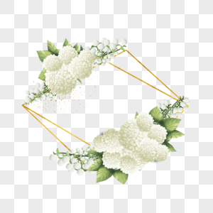 绣球花卉水彩几何边框图片