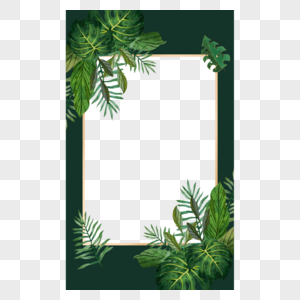 植物ins风格长方形边框图片