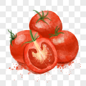 西红柿水彩新鲜蔬菜水果红色图片