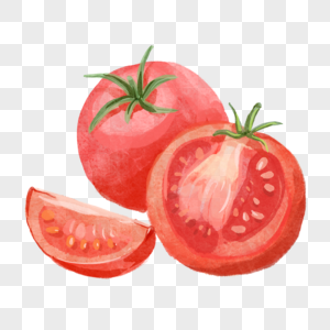 西红柿切开水彩蔬菜水果图片
