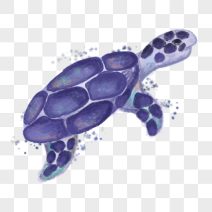 海龟动物水彩风格图片
