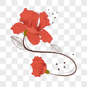 花卉植物抽象线稿红色图片