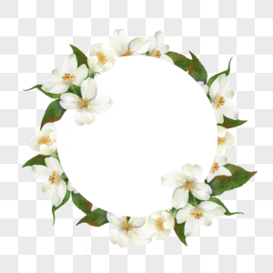 茉莉花边框圆形水彩花卉绿色叶子图片