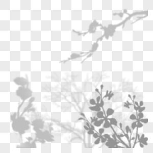 花卉植物叠加影子图片