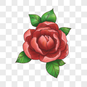 红色半厚画玫瑰纹身高清图片