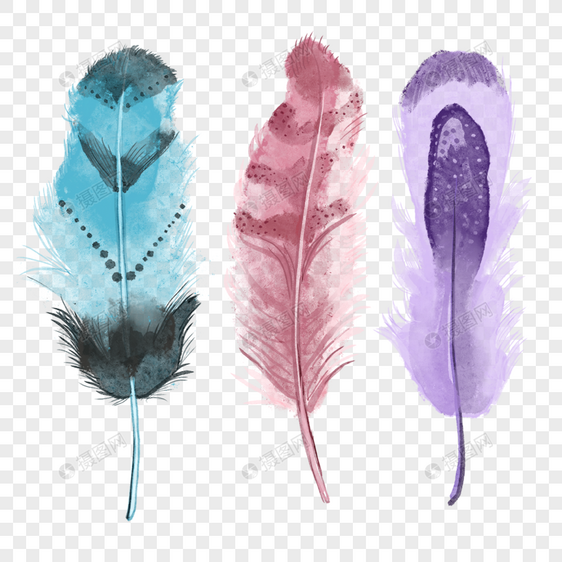 水彩波西米亚风格装饰多色花纹羽毛图片