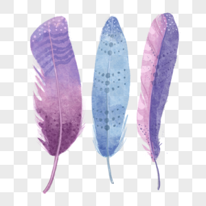 波西米亚风格水彩三个羽毛图片